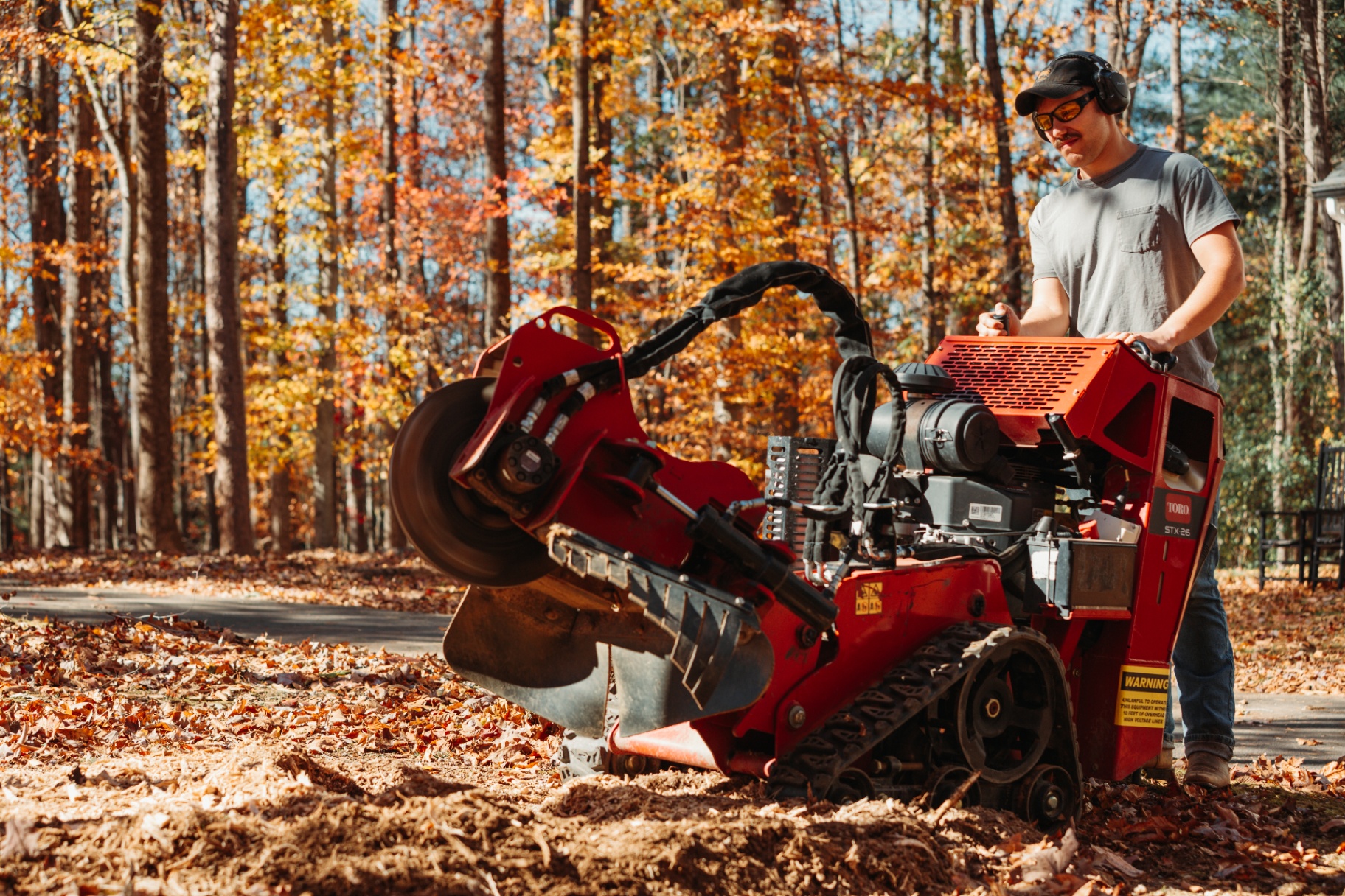 Roots Stump Grinding | Professional Stump Removal in Central Virginia